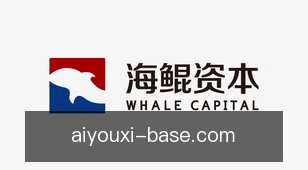 爱游戏